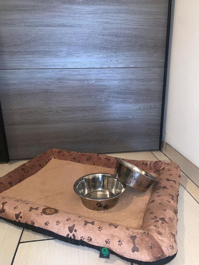 Apartment Owl Kořenov Εξωτερικό φωτογραφία