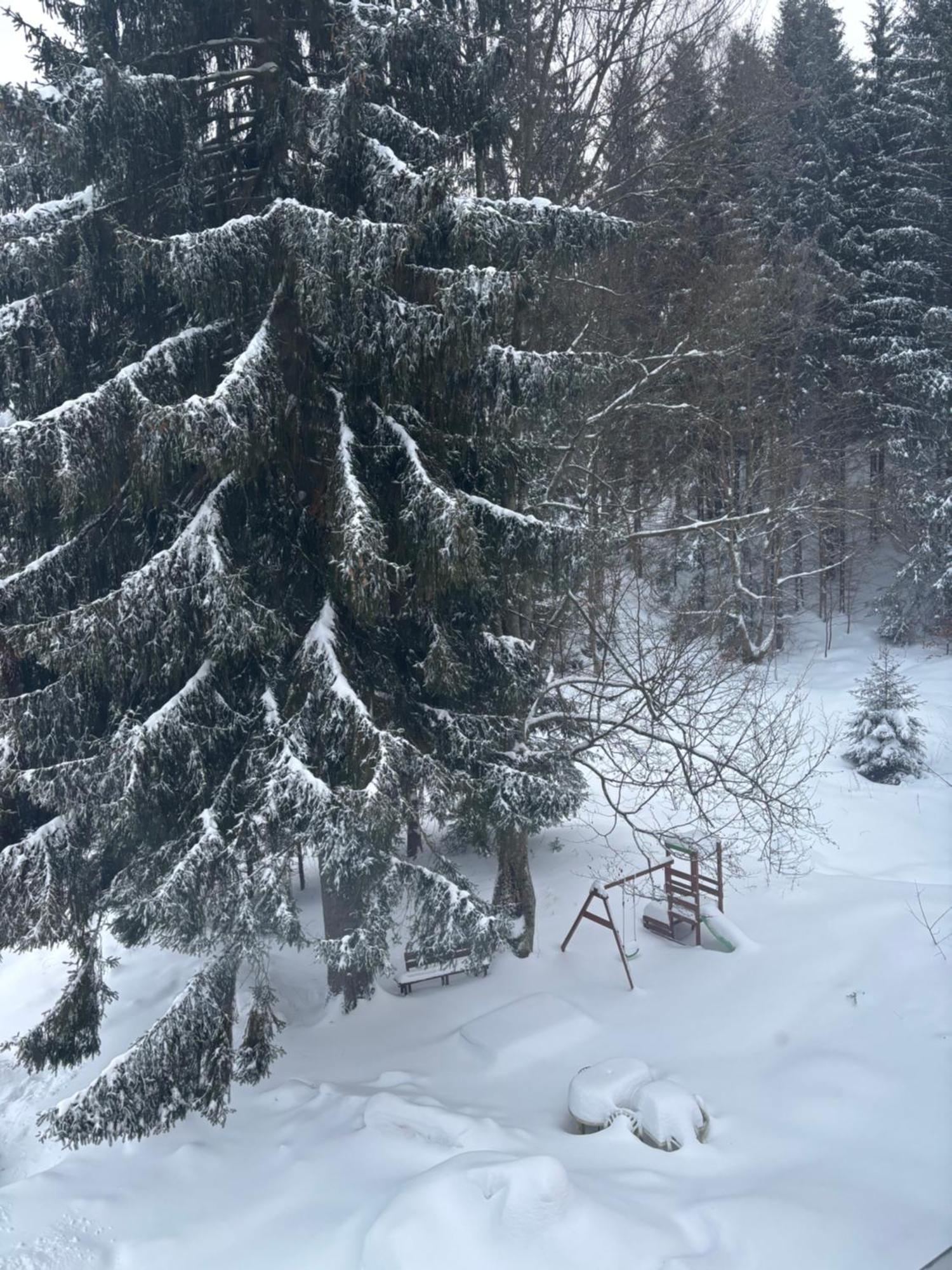 Apartment Owl Kořenov Εξωτερικό φωτογραφία